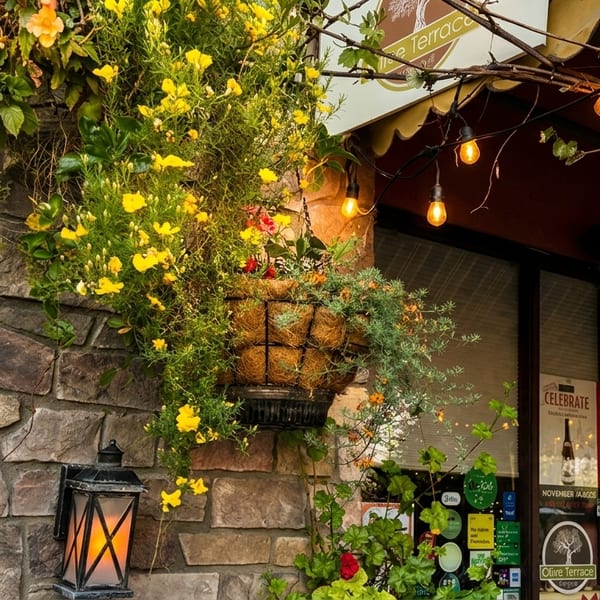 The Olive Terrace restaurant exterior with stone walls, hanging plants, and string lights.