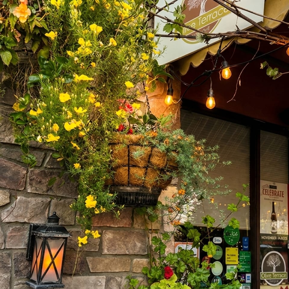 Exterior of Olive Terrace restaurant with stone wall, hanging plants, and string lights over the entrance.